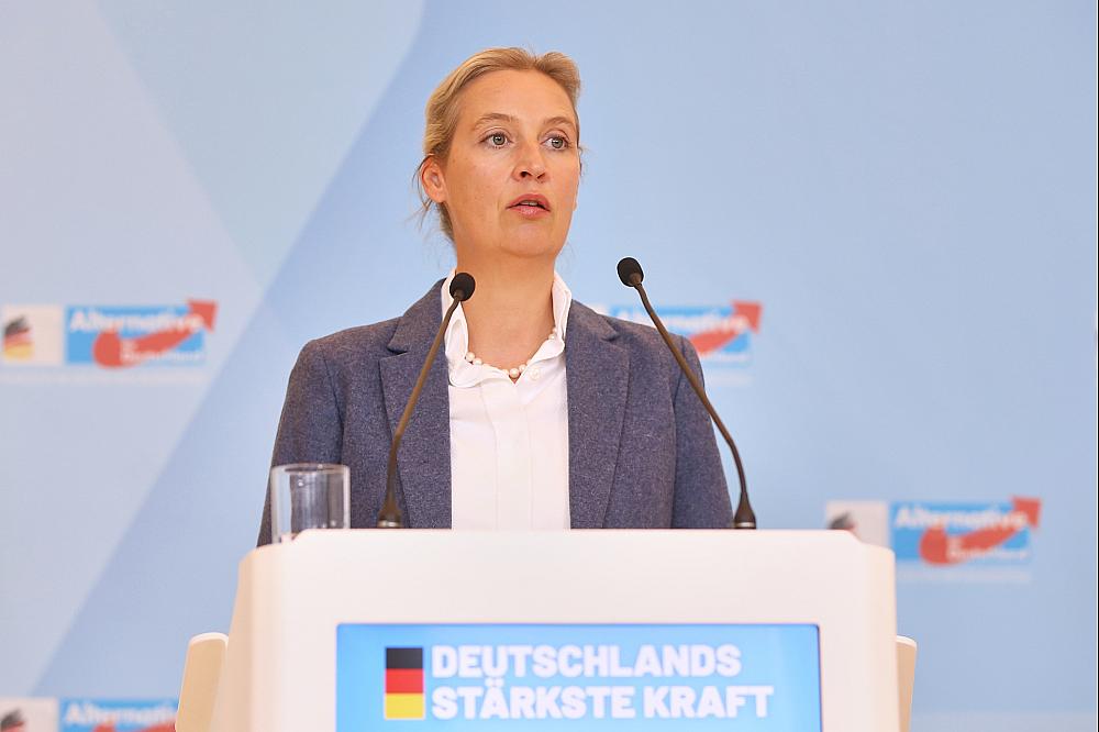 Weidel sieht Union auf Koalitionskurs mit AfD