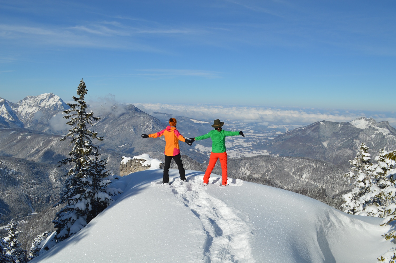 WALDNESS.Winterwald Almtal