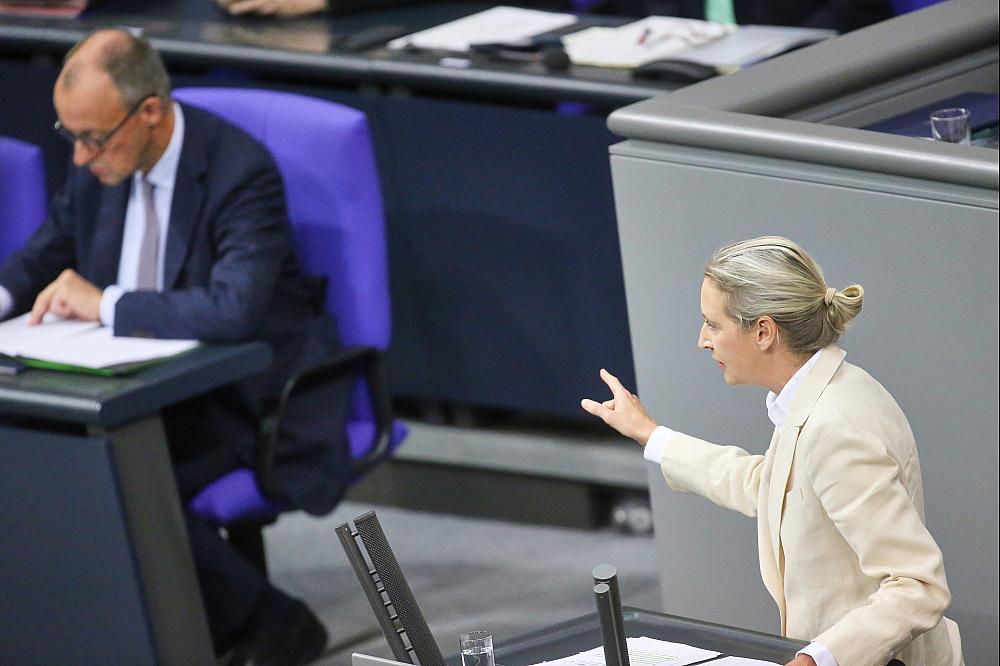 Friedrich Merz und Alice Weidel (Archiv)