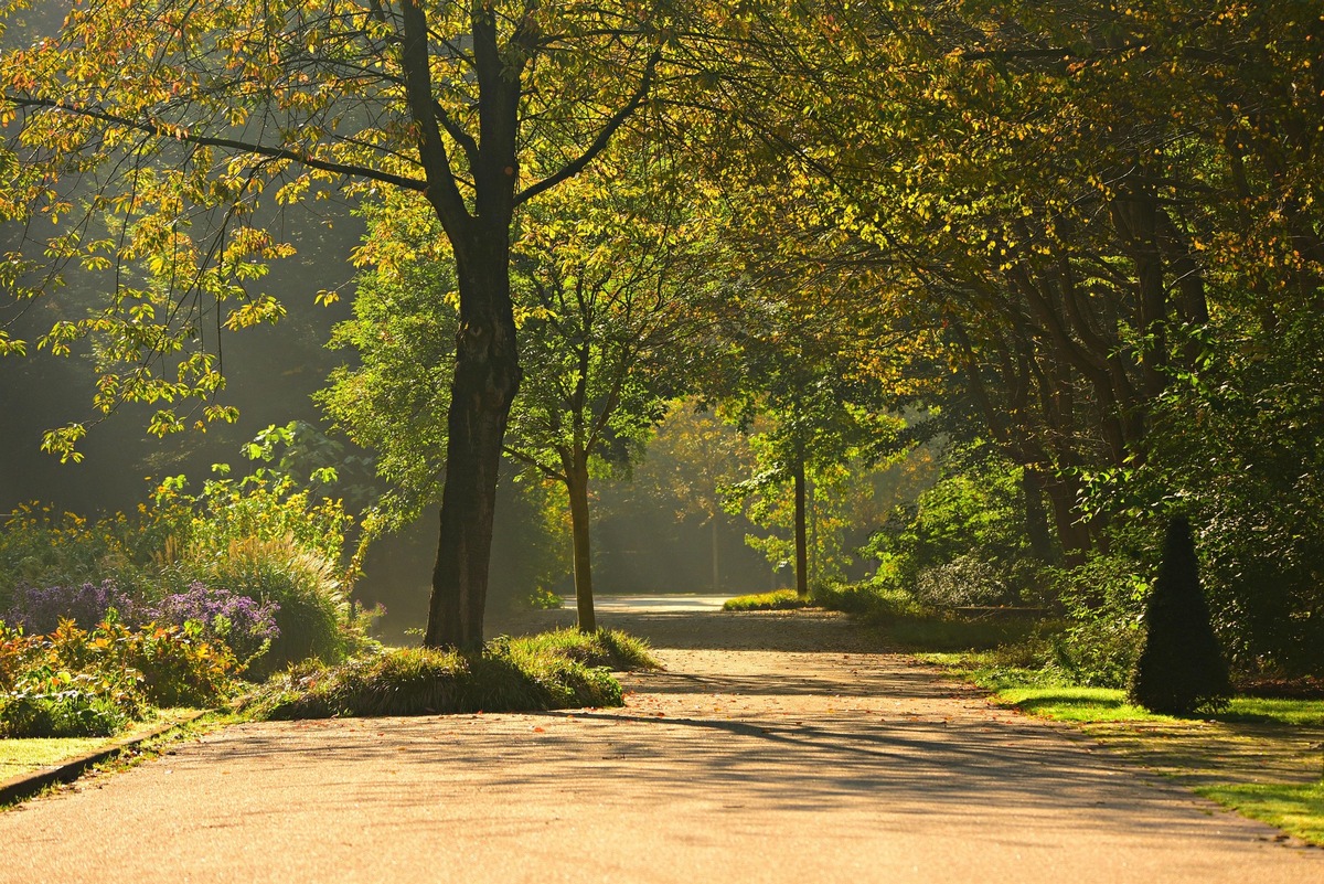 Berlin setzt mit Klimaanpassungsgesetz wichtiges Zeichen für mehr Stadtgrün presseportal.de