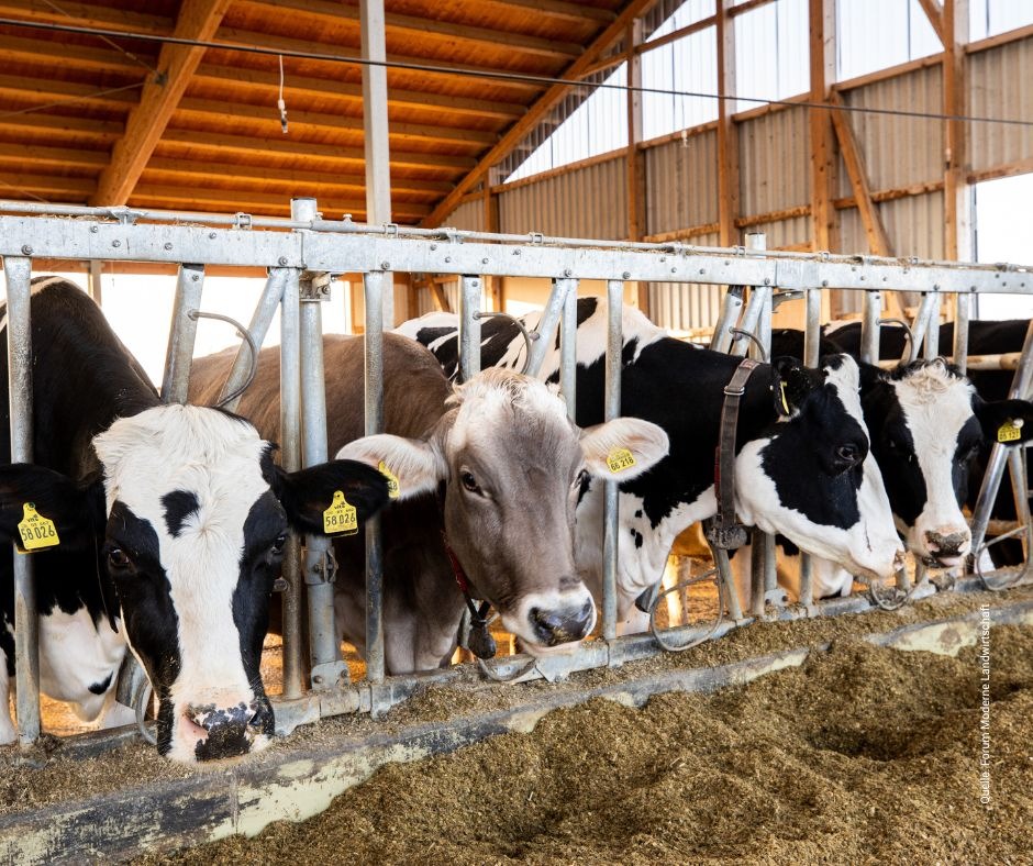 Tierwohl bleibt zentral: Mehrheit der Deutschen achtet auf Haltung und Herkunft presseportal.de