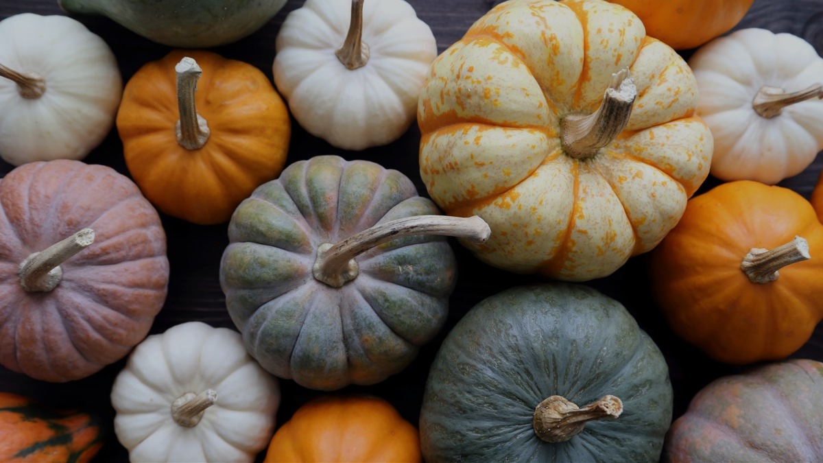 Die dunkle Jahreszeit versüßen: Ofenfrische Kürbisgerichte mit Beko AeroPerfect(TM)- und AirFry-Technologie presseportal.de