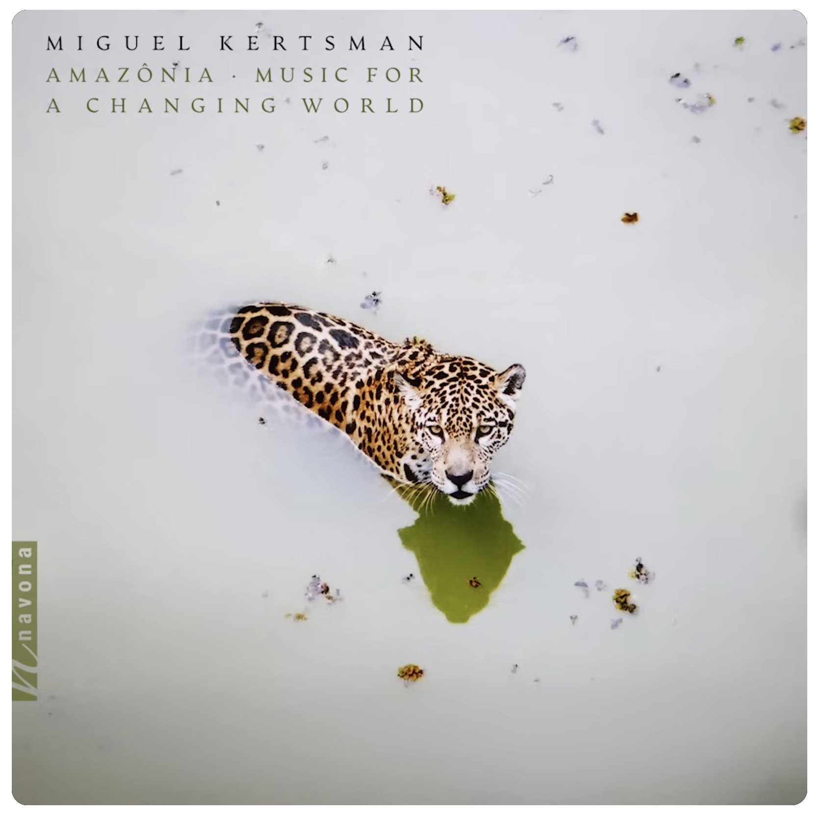 Cover: AMAZÔNIA