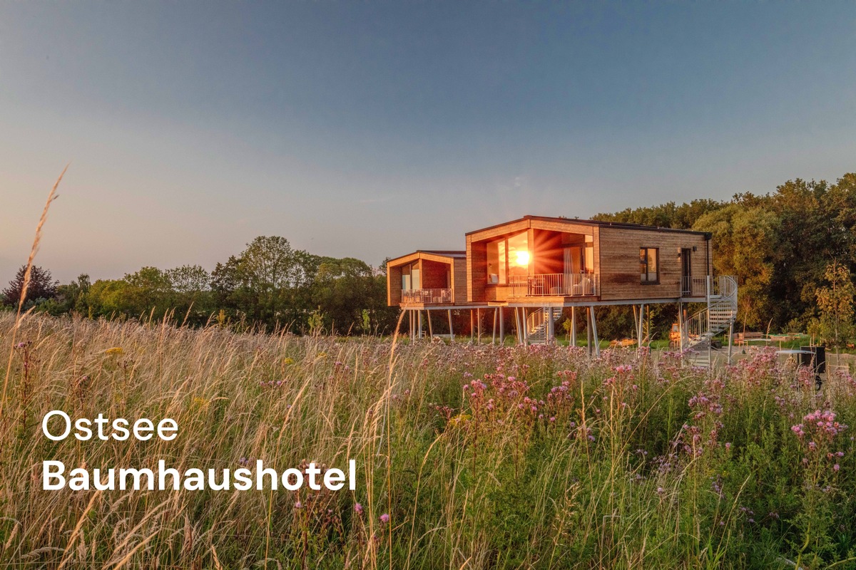 Ostsee Baumhaushotel schließt Ausbau ab: 14 Baumhäuser auf Höhe der Baumkronen starten in erste volle Saison 2026