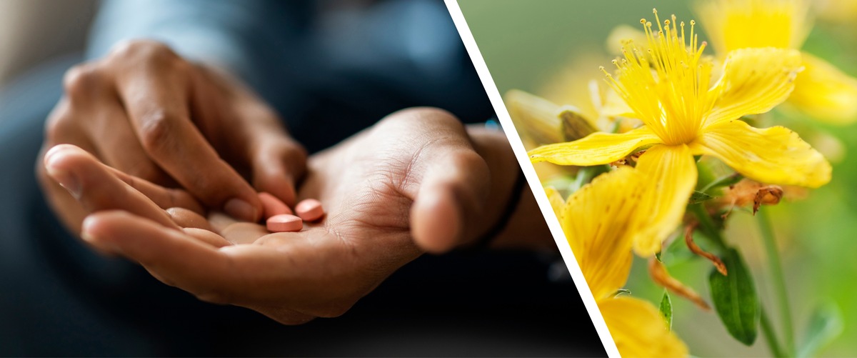 Studie zu 30 Antidepressiva: Nebenwirkungen beeinflussen Therapieerfolg - pflanzliche Alternative als mögliche Option