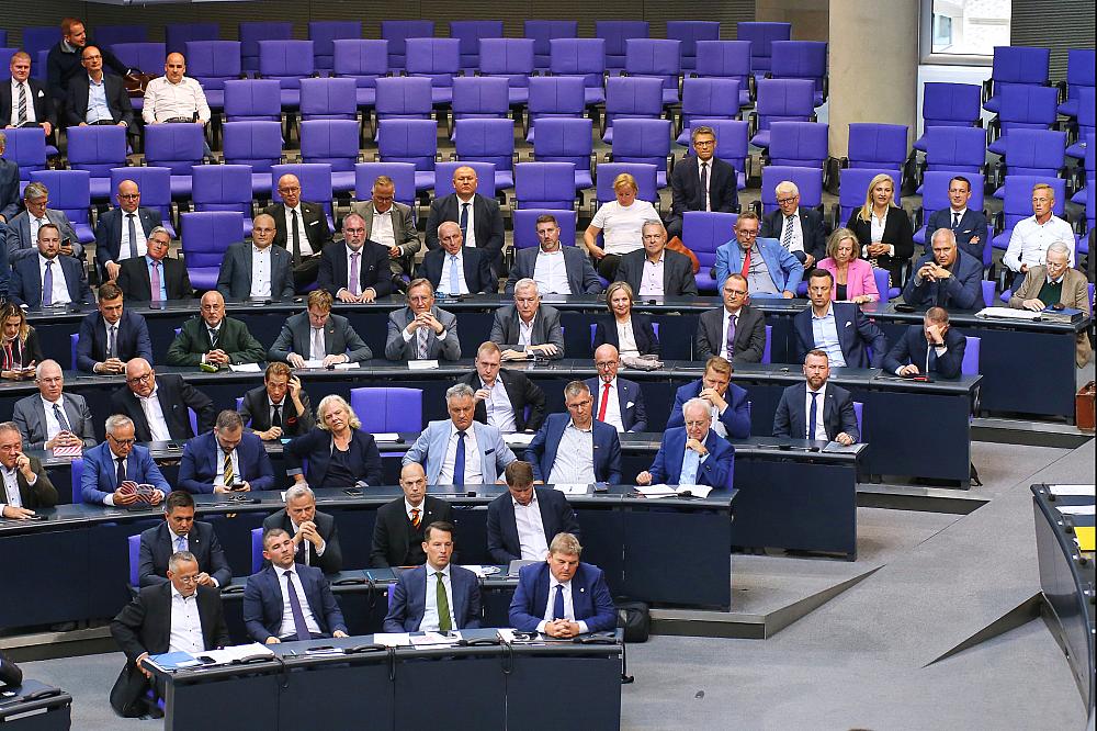 AfD-Fraktion (Archiv)