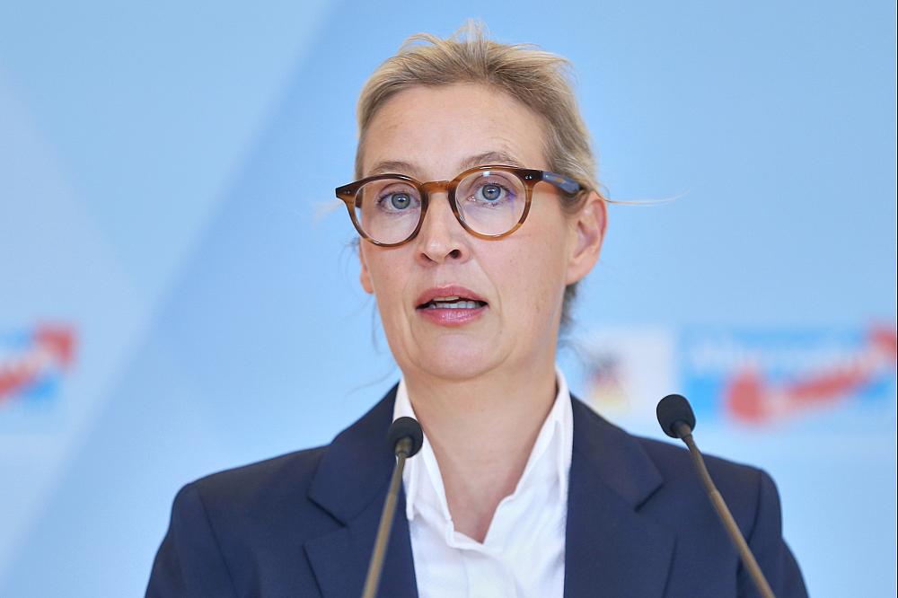 Alice Weidel am 02.12.2025