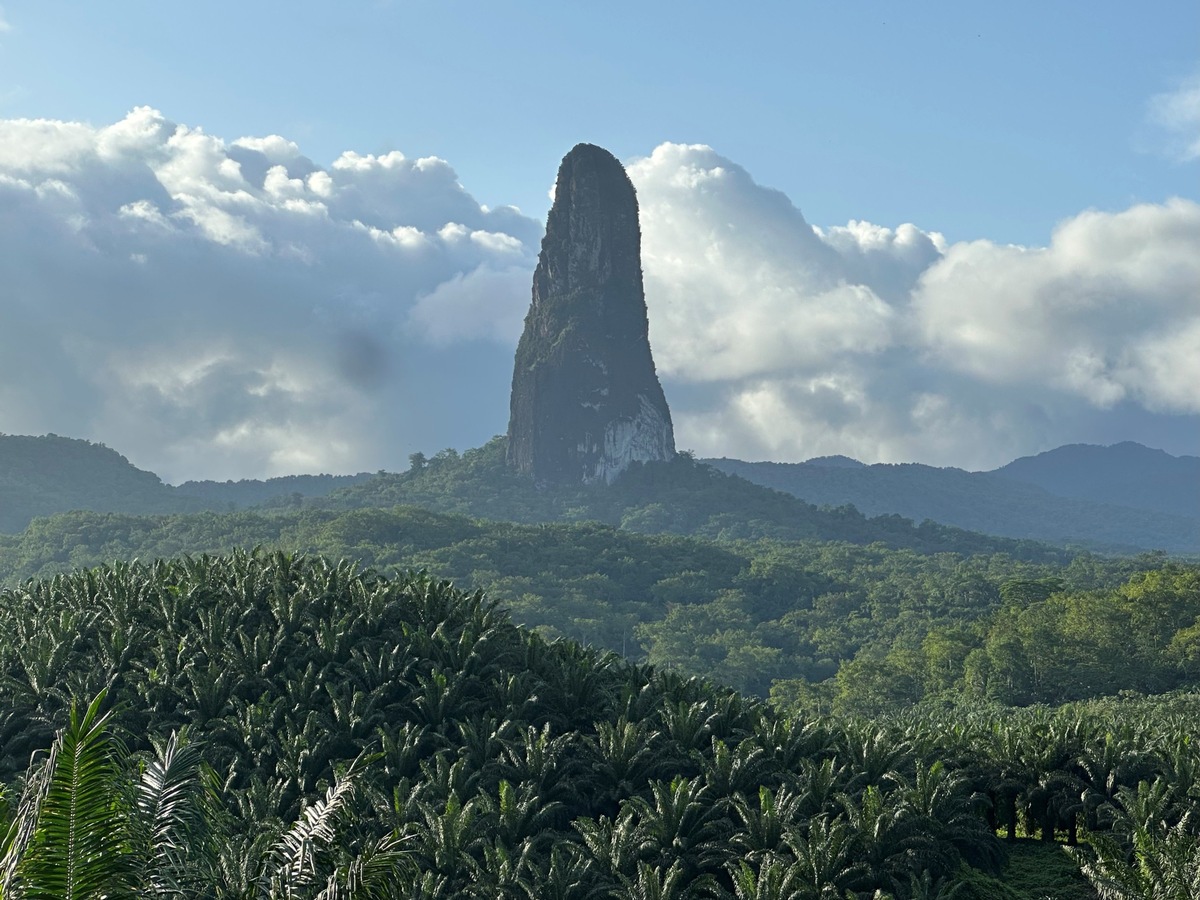 Bundespräsident Steinmeier empfängt ersten Botschafter aus São Tomé und Príncipe in Berlin