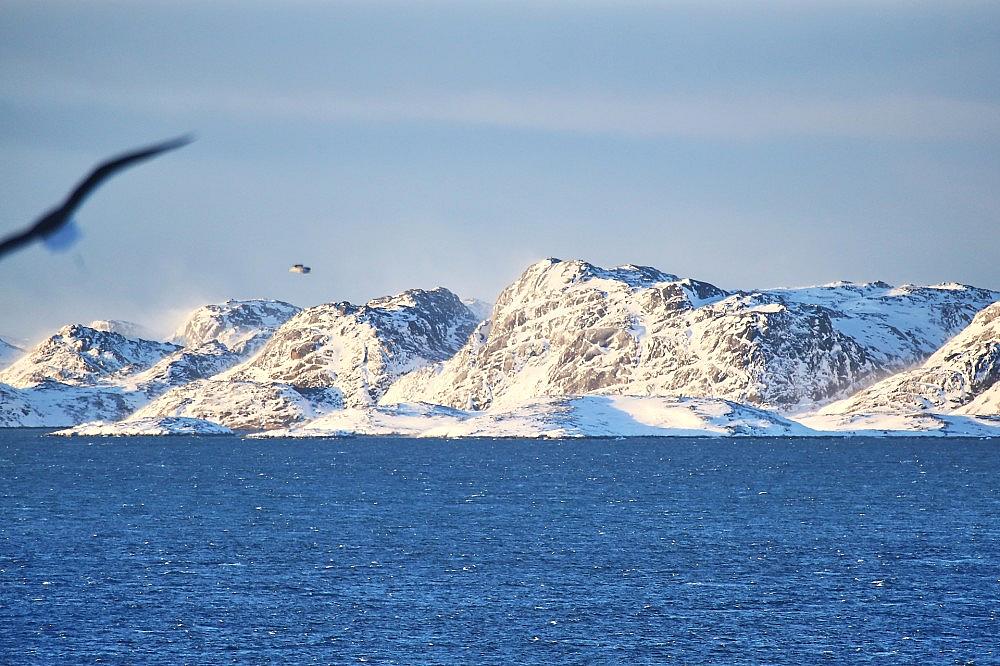 Grönland am 20.01.2026 via dts Nachrichtenagentur