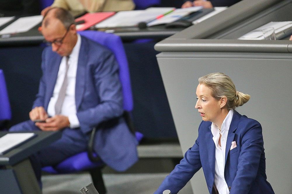 Friedrich Merz und Alice Weidel am 29.01.2026