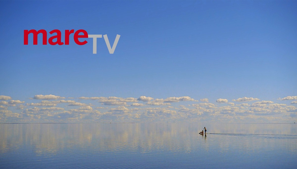 25 Jahre “mareTV” – Jubiläum der beliebten NDR Meeressendung presseportal.de