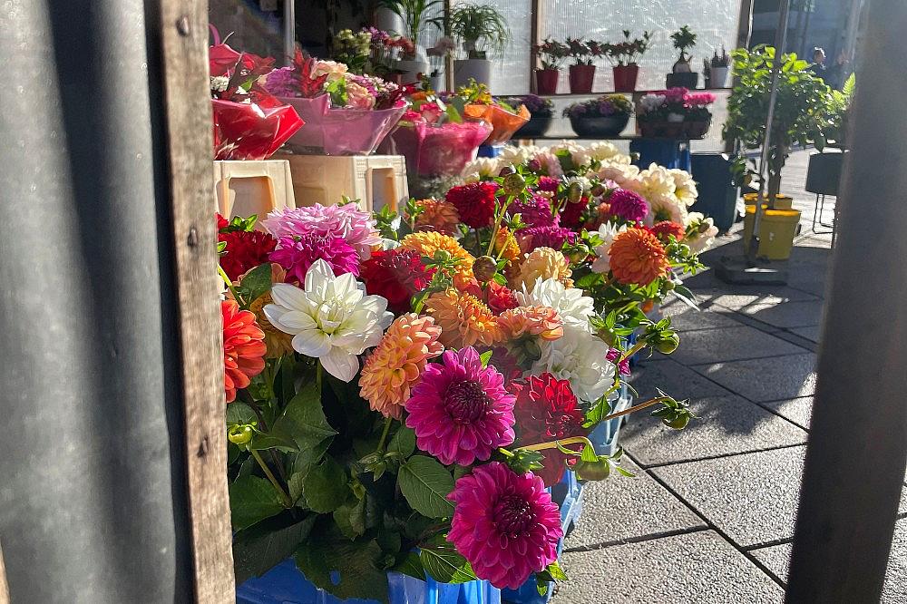 Blumen in einem Blumenladen (Archiv) via dts Nachrichtenagentur