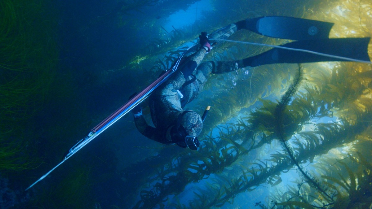 Neue Folgen der 3sat-Dokumentarfilmreihe 