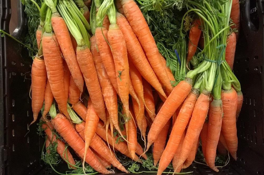 Möhren (Archiv)