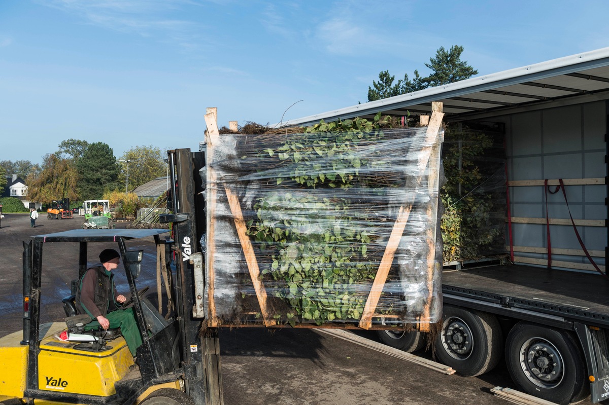 Bund deutscher Baumschulen (BdB) e.V.: Iran-Konflikt treibt Spritpreise - Baumschulen spüren drastische Anstieg bei Frachtkosten