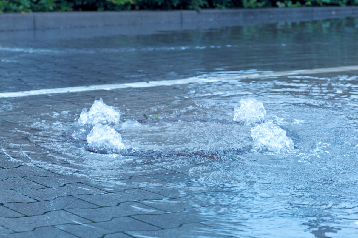 Weltwassertag 2026: Grüner Plan fürs Wasser