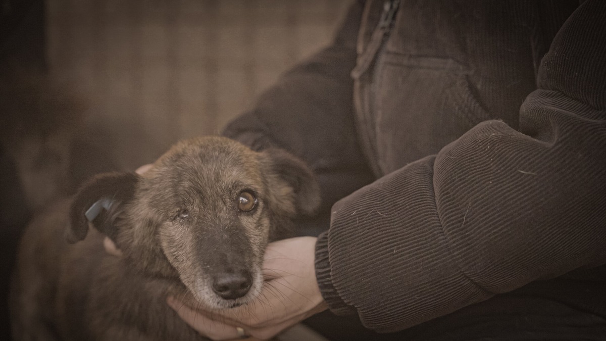 Was bewirken 70 Millionen gegen 