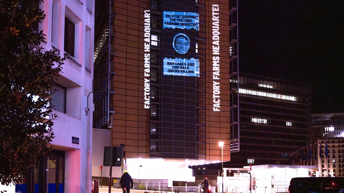 EU-Kommission wird zur 