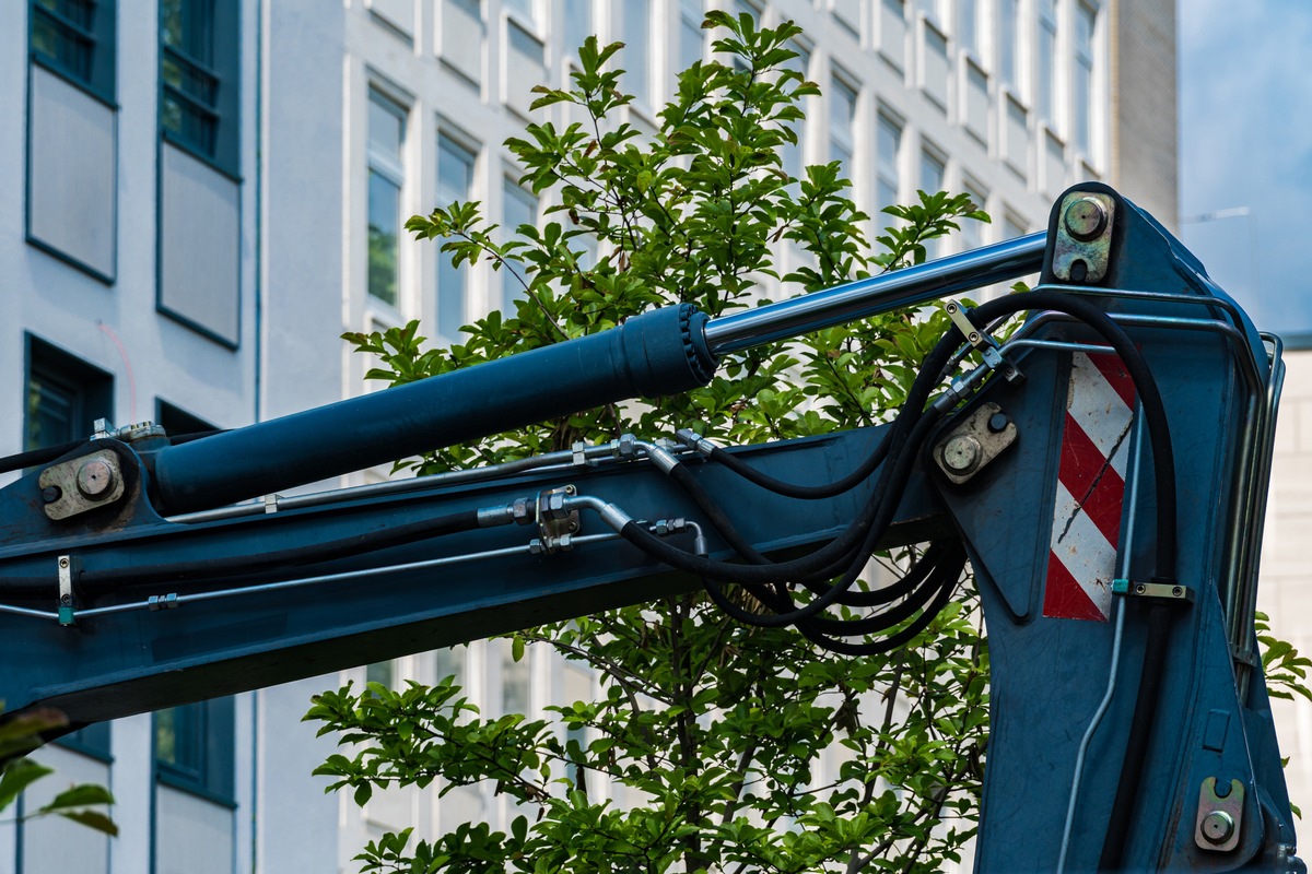 Stadtbäume brauchen Akzeptanz, nicht der Baum ist das Problem, sondern die Rahmenbedingungen presseportal.de