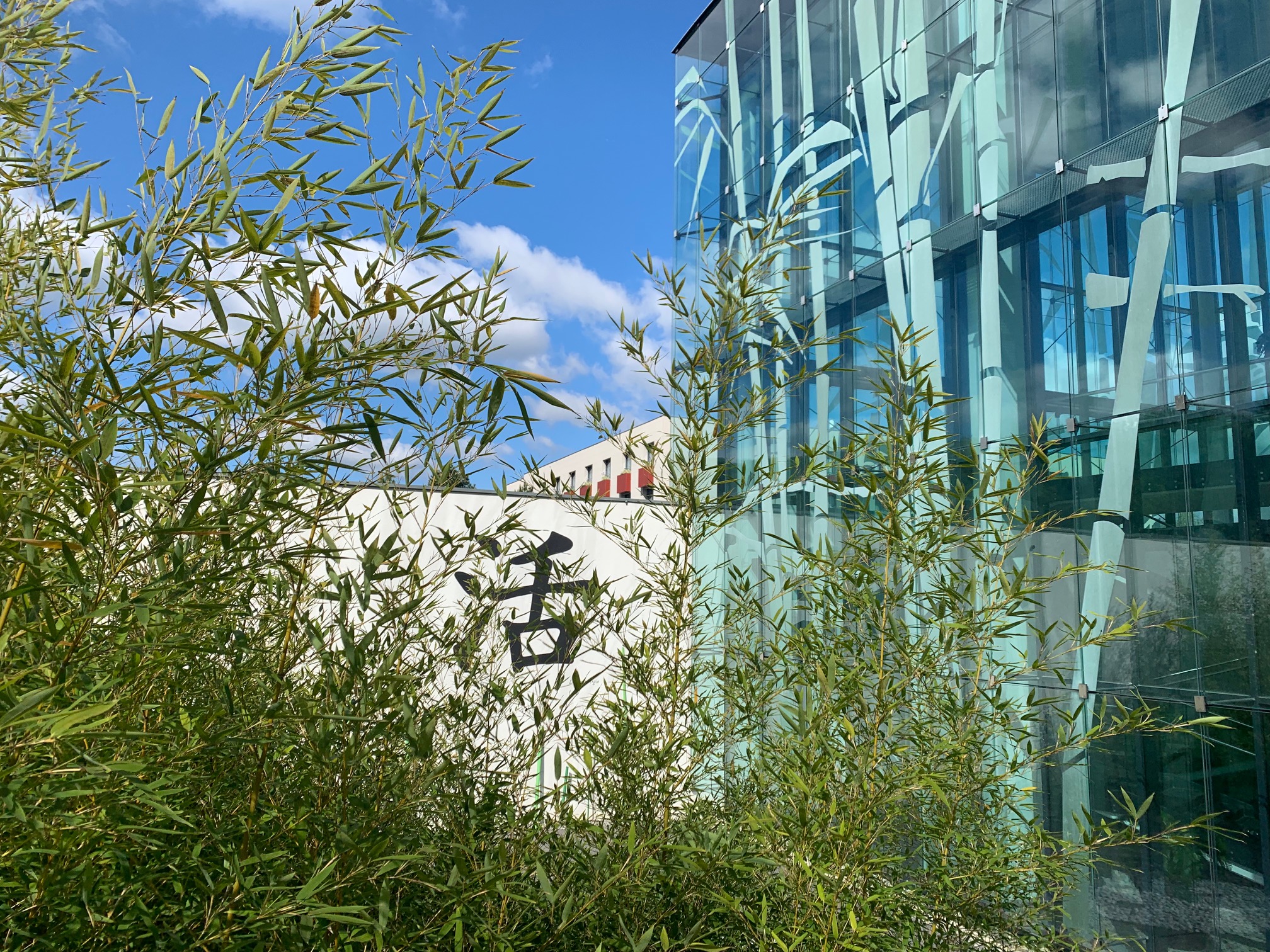 Linsberg Asia-Wellnessresort Linsberg Asia über pressetext.de