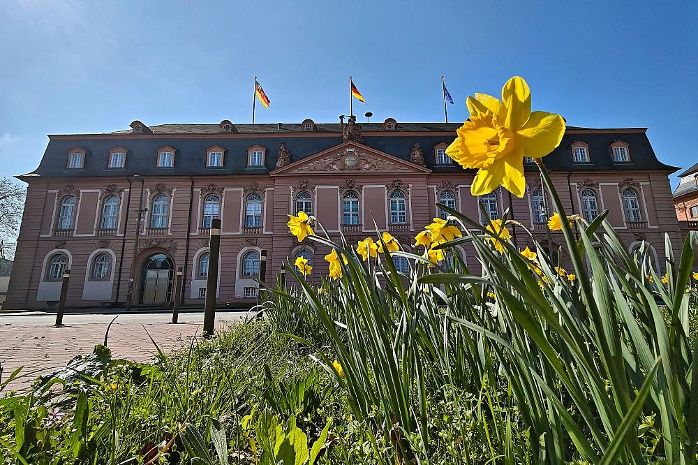 Landtag von Rheinland-Pfalz (Archiv)