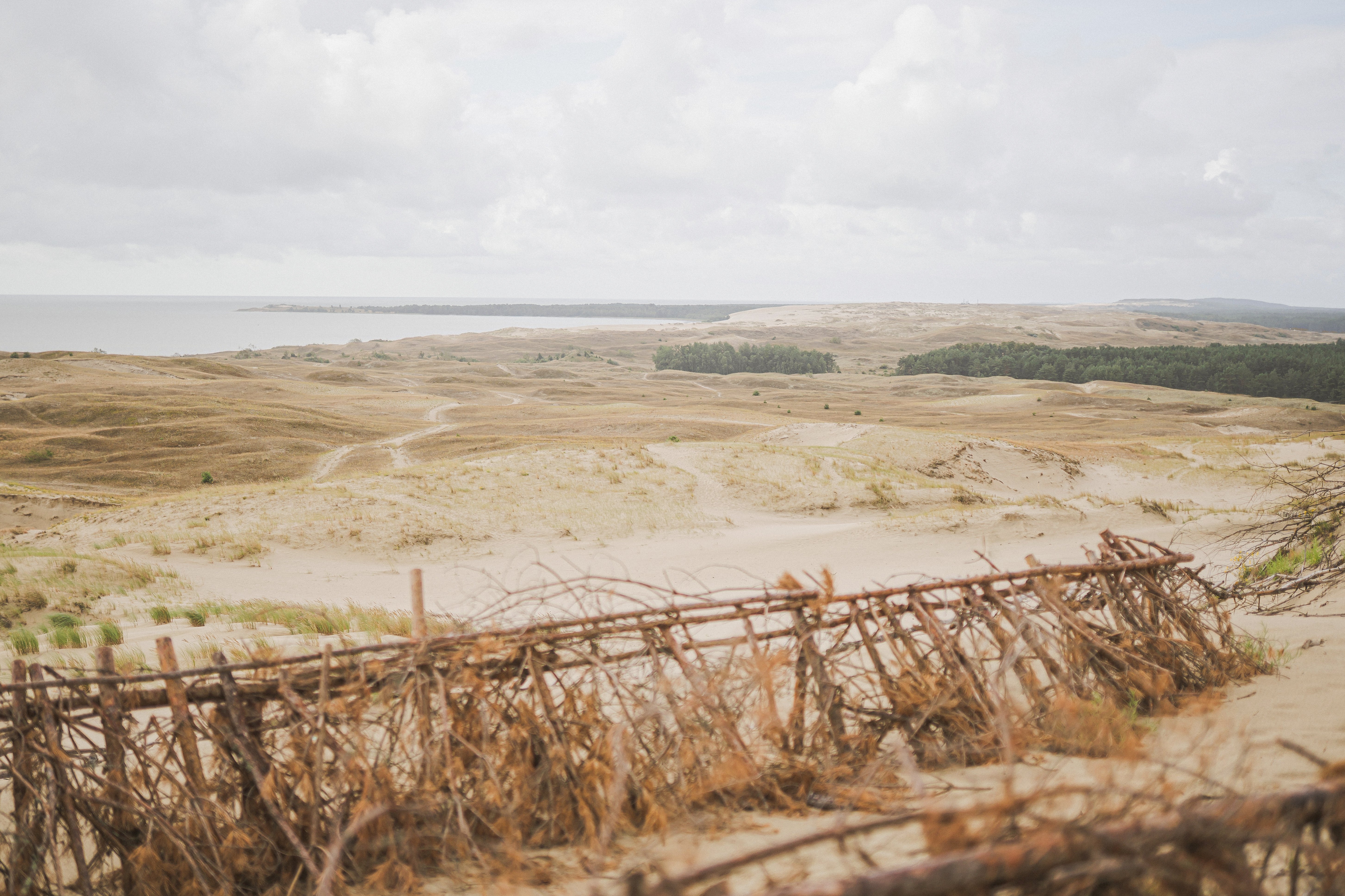 Curonian Spit