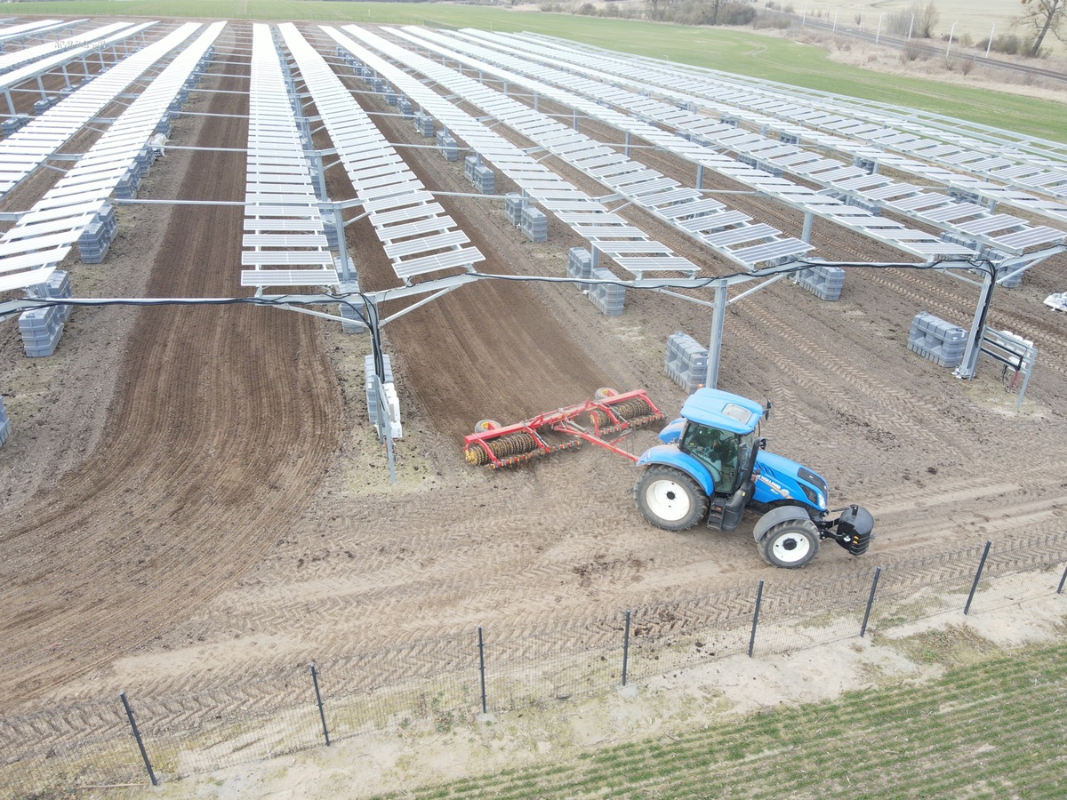 AgriPV: Entwickelt in Deutschland / Agri-Photovoltaik in Europa: Die Lösung für das Land-Energie-Dilemma