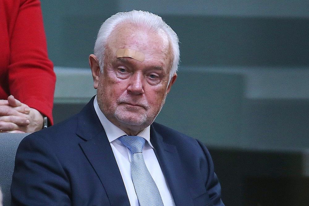 Wolfgang Kubicki (Archiv) via dts Nachrichtenagentur