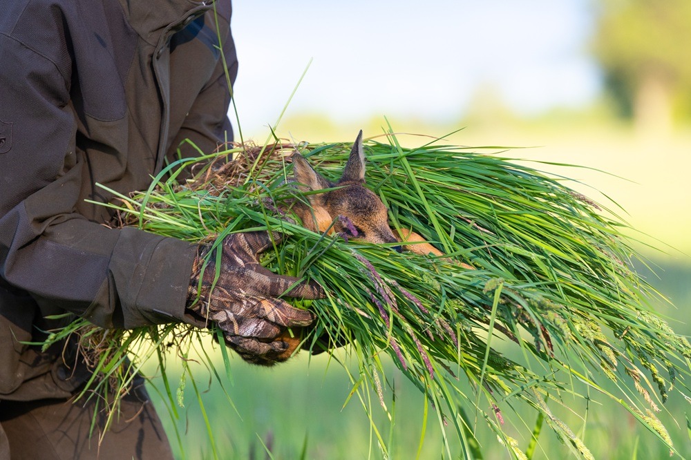 Rehkitz-Rettung: Wildtierschutz Deutschland veröffentlicht bundesweites Verzeichnis mit Drohnenteams presseportal.de