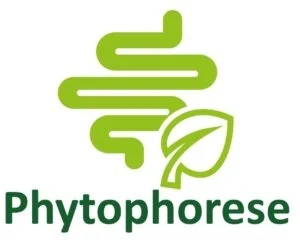 Phytophorese