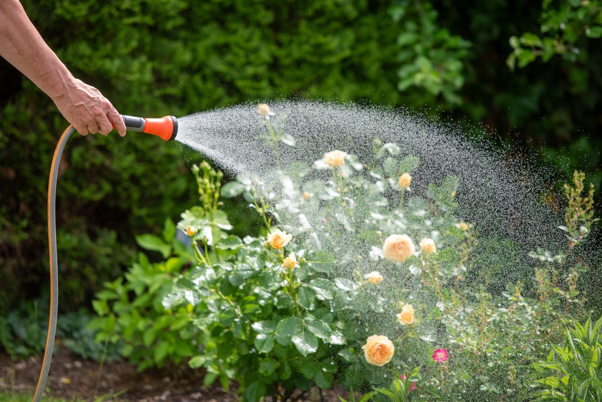 TÜV SÜD gibt Tipps zur modernen Gartenbewässerung