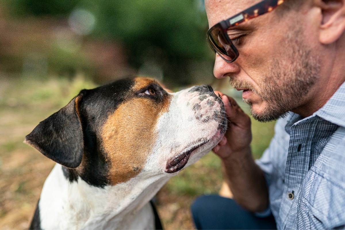 Ist mein Hund bereit für einen Tiersitter? / Die fünf entscheidenden Anzeichen für mehr Sicherheit beim ersten Tiersitter-Einsatz