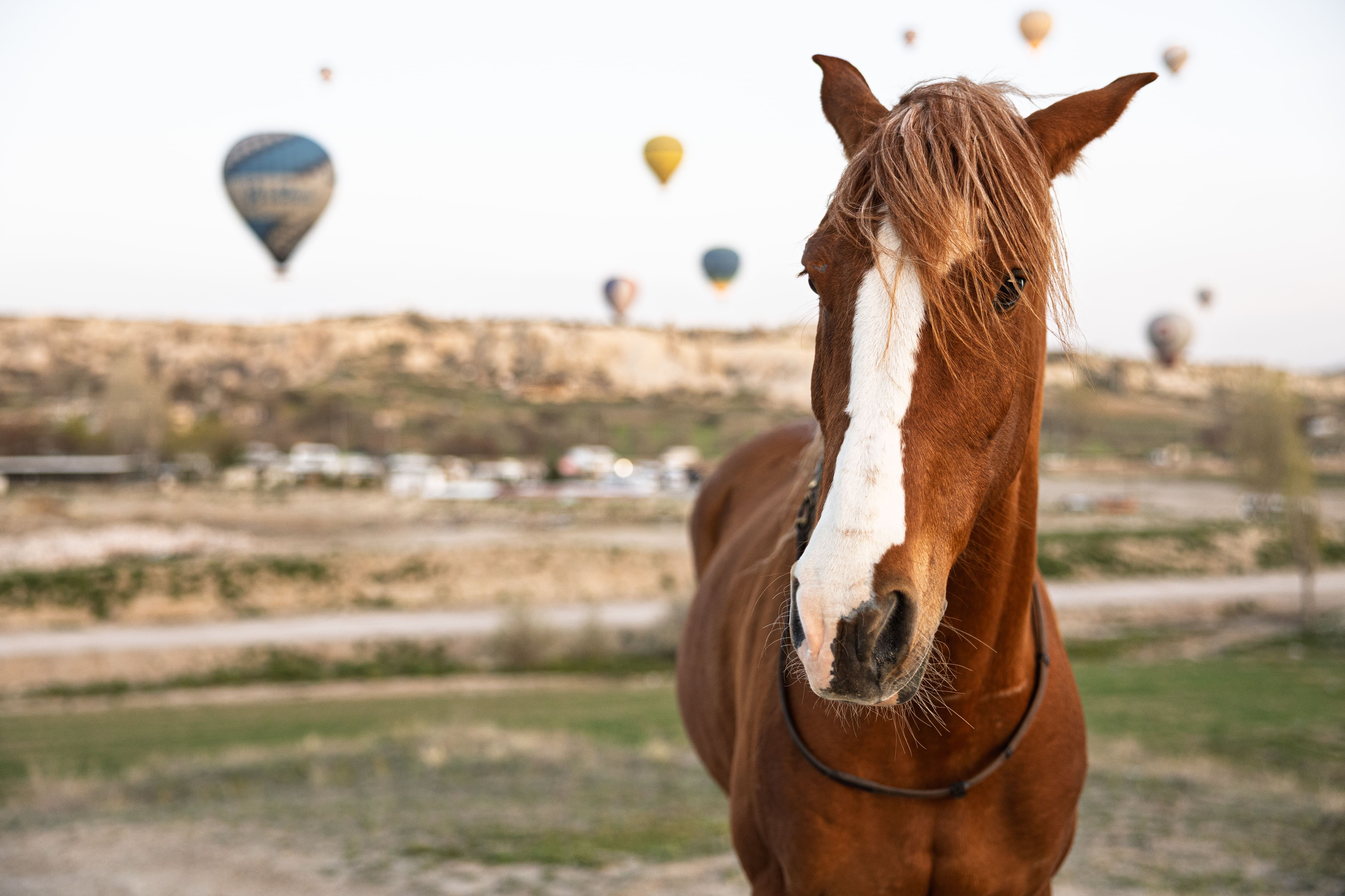 Göreme 