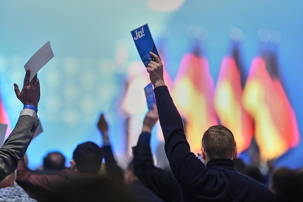 Abstimmung auf AfD-Parteitag (Archiv)