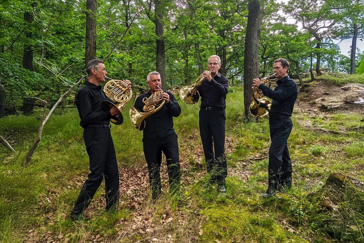 Vorfreude auf großes Ferienfinale: 35. MDR-Musiksommer lädt sein Publikum zum „Musik-Waldbaden“ ein