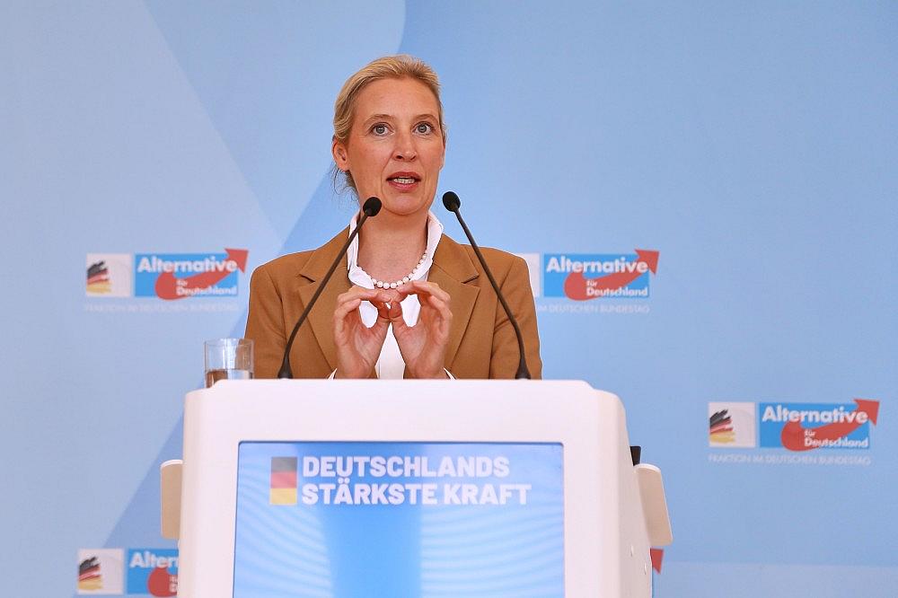 Alice Weidel (Archiv)