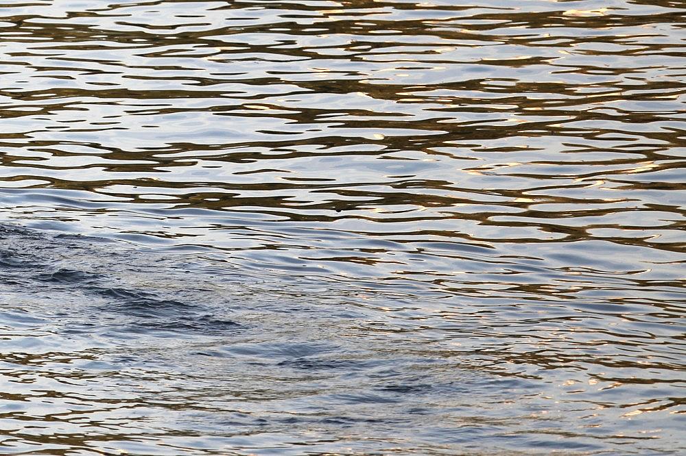 Wasser (Archiv) via dts Nachrichtenagentur