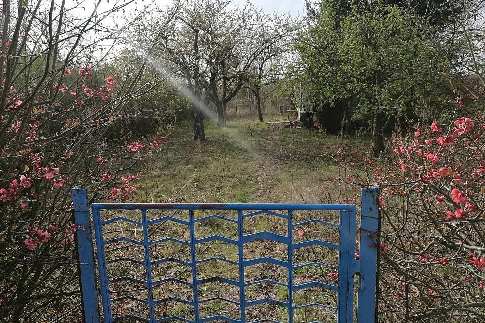 Kleingarten (Archiv) via dts Nachrichtenagentur