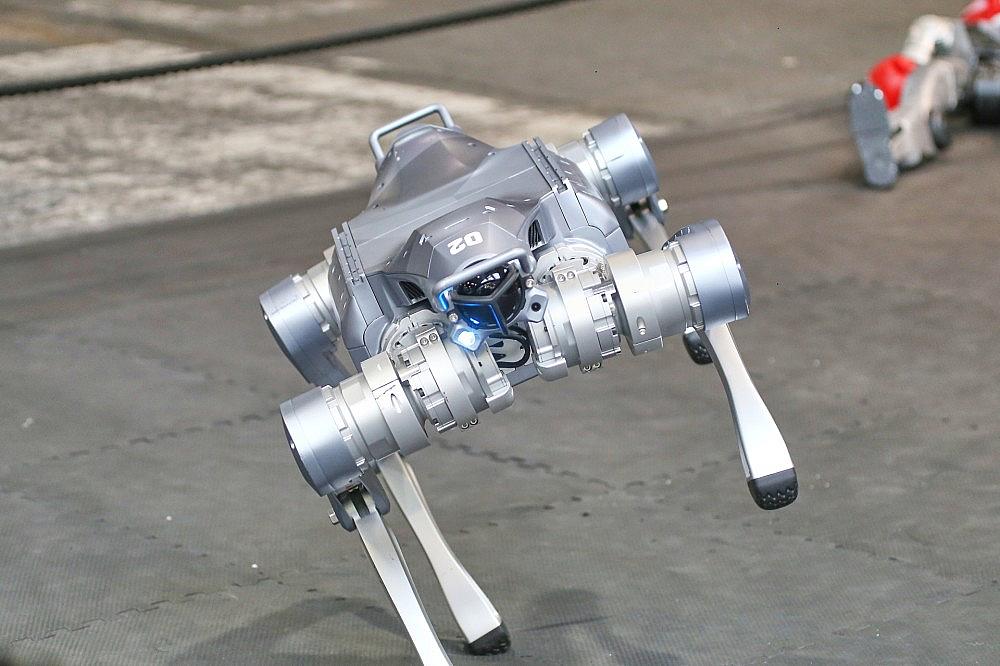 KI-Roboterhund (Archiv) via dts Nachrichtenagentur