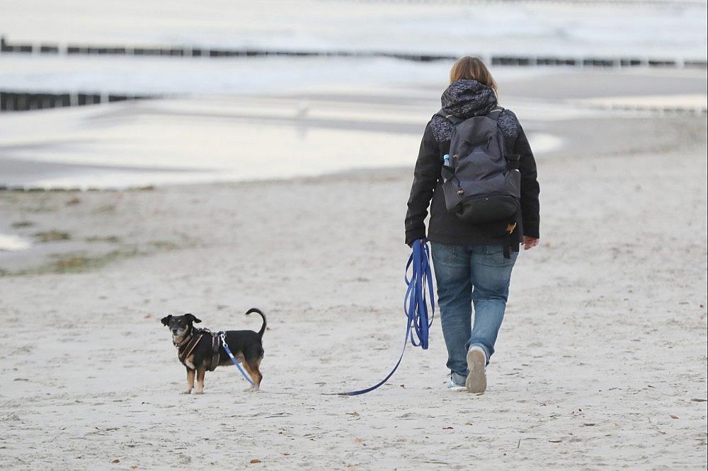 Strand (Archiv)