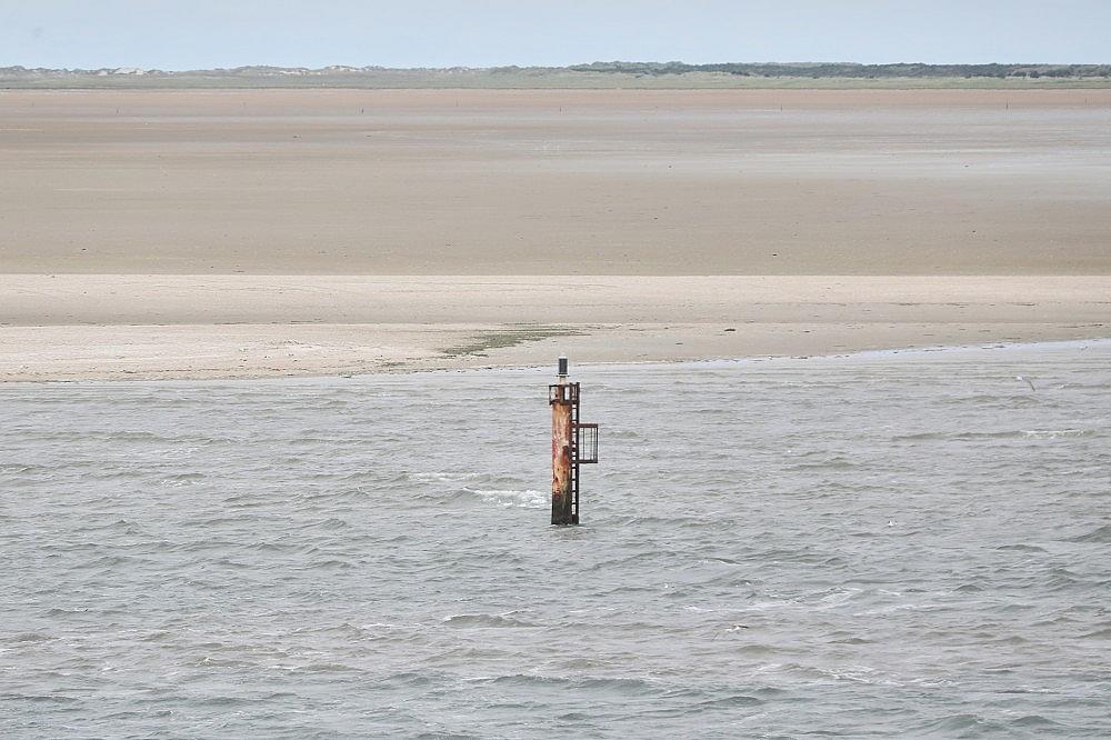 Dalbe in der Nordsee (Archiv)