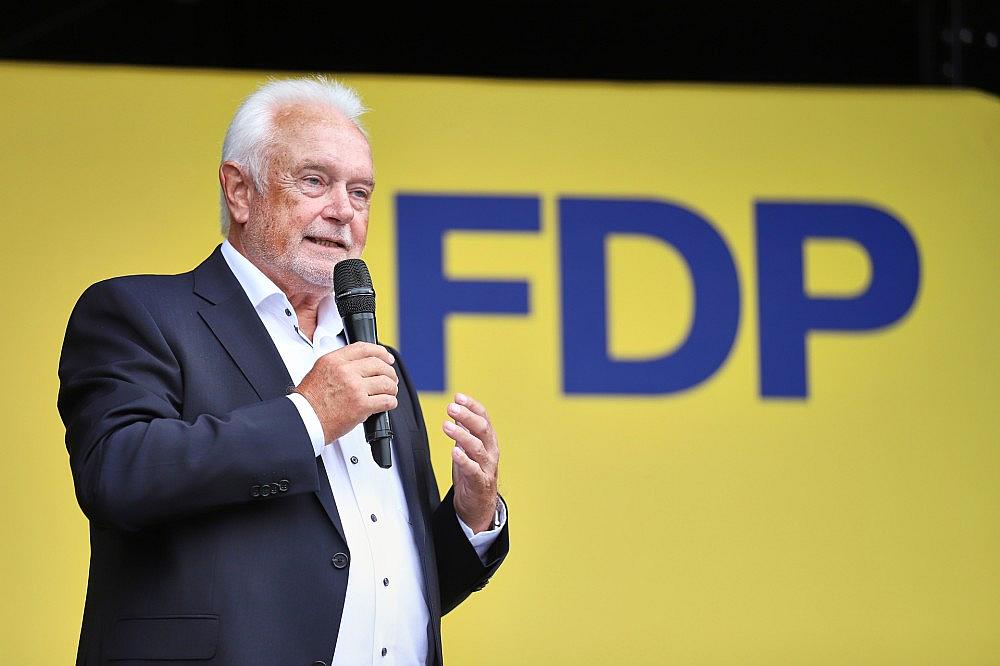 Wolfgang Kubicki (Archiv)
