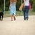 Mittagspause mit Hund - ein paar Schritte gehen und mit Kollegen plaudern verbessert das Betriebsklima und hält fit. - Foto: pixabay.com © robertoaiuto (CC0 Creative Commons)