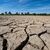 Aufgerissen und ausgetrocknet ist eine Sandbank an der Niedrigwasser führenden Donau. (Archivbild) - Foto: Armin Weigel/dpa