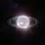 Der Planet Neptun schwebt im Zentrum einiger Ringe. Die Ringe wurden durch den Einsatz der Nahinfrarotkamera (NIRCam) zum ersten Mal seit mehr als drei Jahrzehnten in vollem Fokus sichtbnar. - Foto: Space Telescope Science Institut/ESA/Webb/dpa