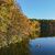 Mit dem Kajak über den Trepliner See in Brandenburg: Am Ufer leuchtet der Wald in den schönsten Herbstfarben. - Foto: Patrick Pleul/dpa