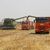 Mehrere EU-Staaten fordern von der Europäischen Kommission Importbeschränkungen für russisches Getreide. - Foto: Vitaly Timkiv/AP/dpa