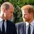 Prinz William (l) und Prinz Harry nach dem Tod ihrer Großmutter, Königin Elizabeth II. Die Beziehung der beiden Brüder scheint äußerst angespannt zu sein. - Foto: Martin Meissner/AP/dpa