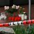 Blick auf Trauerkerzen und Blumen vor dem Eingang der Schule in Ibbenbühren. - Foto: Friso Gentsch/dpa