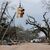 Autos fahren vorsichtig an umgestürzten Bäumen und Stromleitungen in Selma vorbei. - Foto: Stew Milne/AP/dpa
